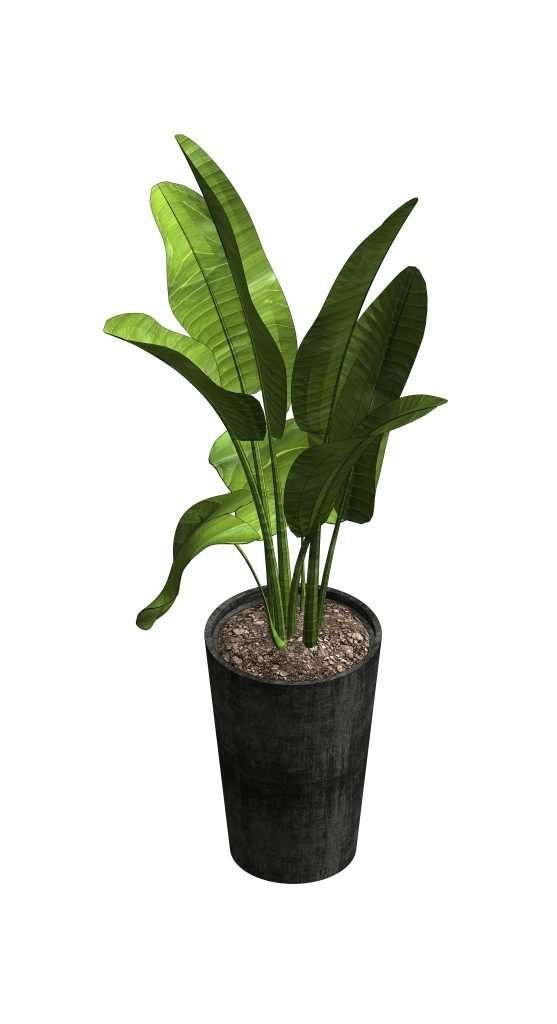 Revit Potted Plants 15 – Model And Object