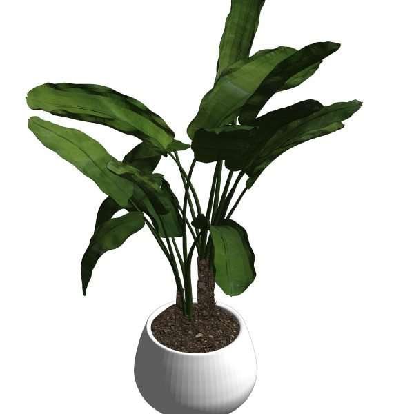 Potted plants – Model And Object