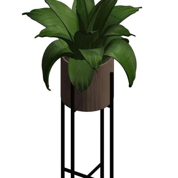 Revit Potted Plants 36 – Model And Object