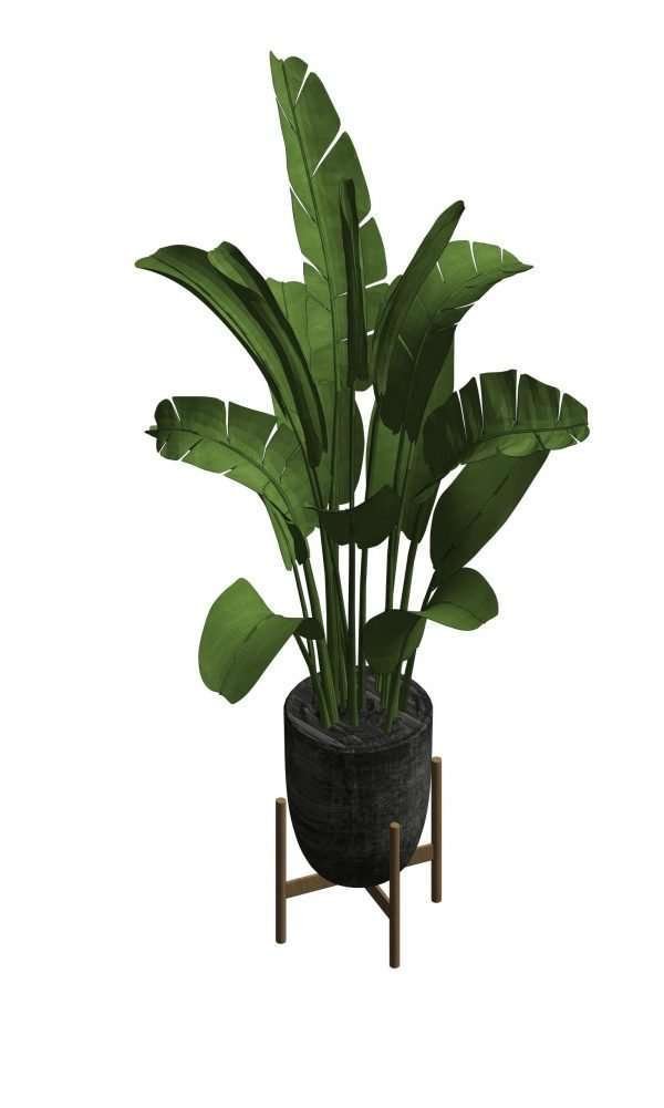 Revit Potted Plants 42 – Model And Object