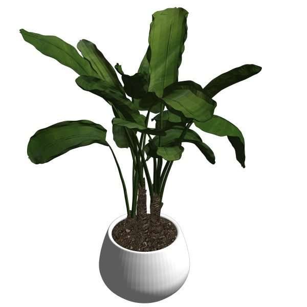 Potted plants – Model And Object