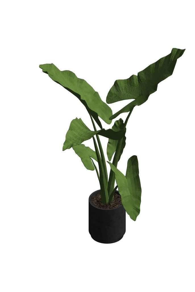 Revit Potted Plants 33 – Model And Object