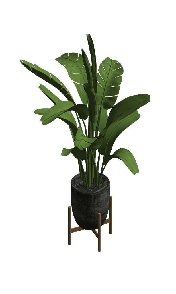 Revit Potted Plants 42 – Model And Object