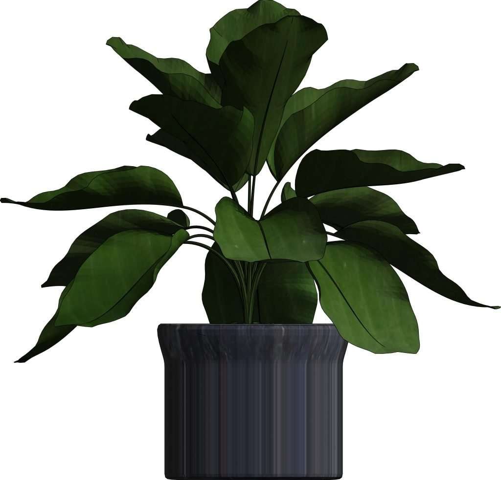 Revit Potted Plants 8 – Model And Object