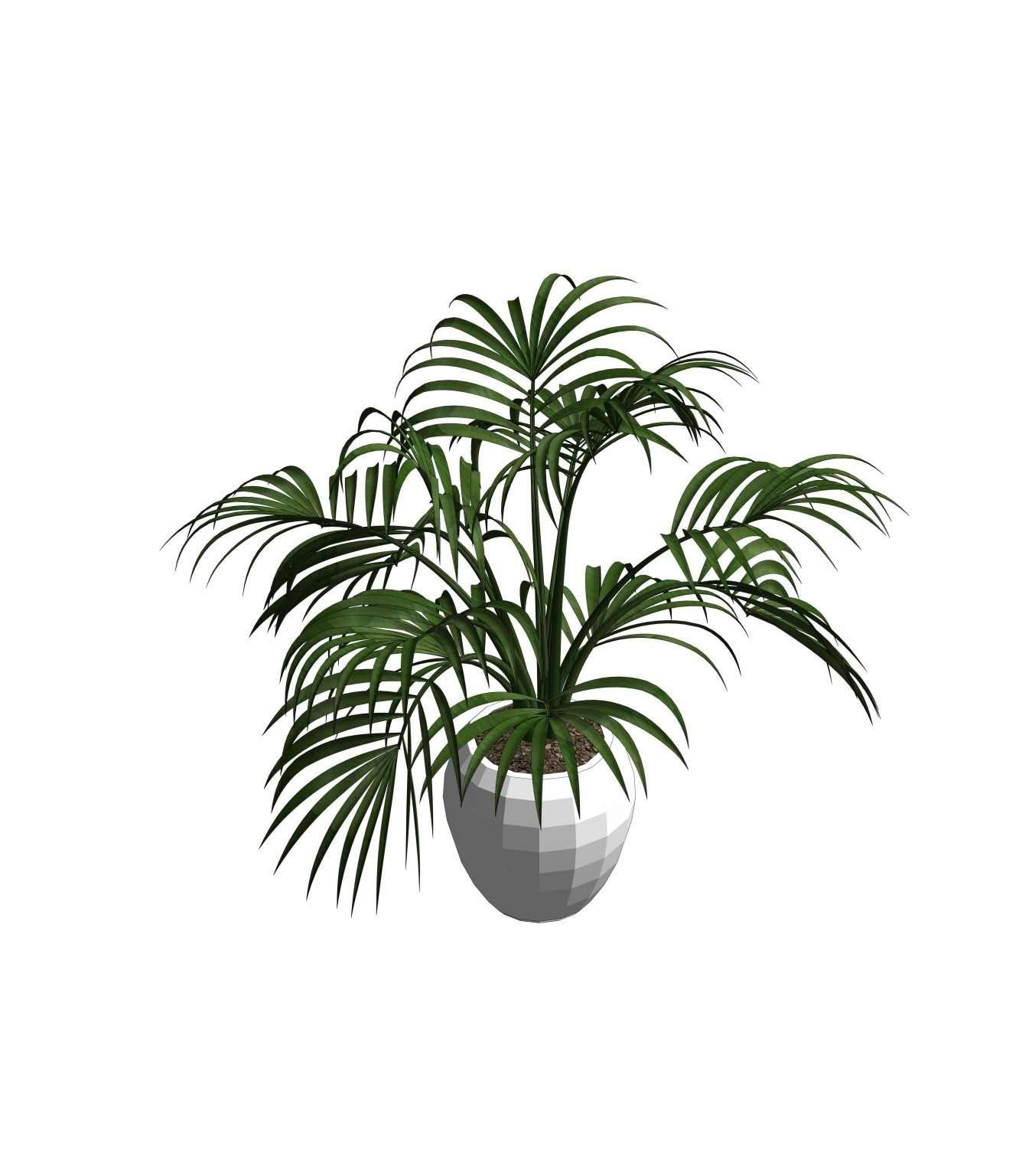 Revit Potted Plants 20 Model And Object