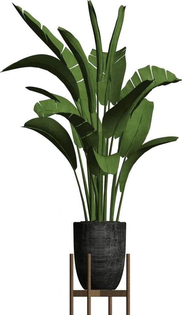 Revit Potted Plants 42 – Model And Object