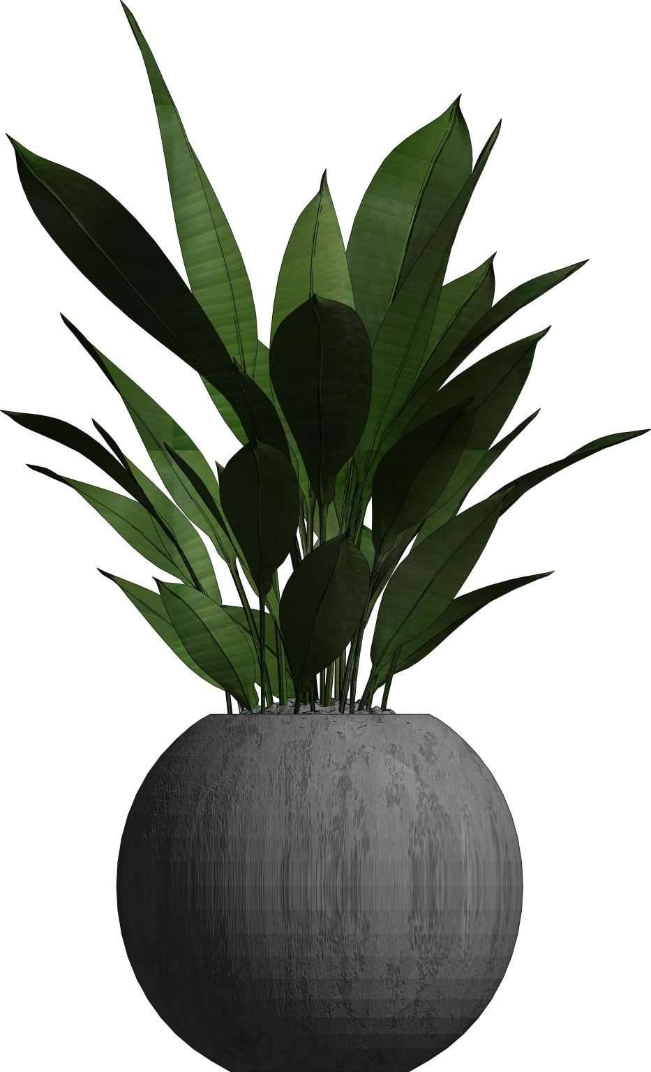 Revit Potted Plants 5 Model And Object