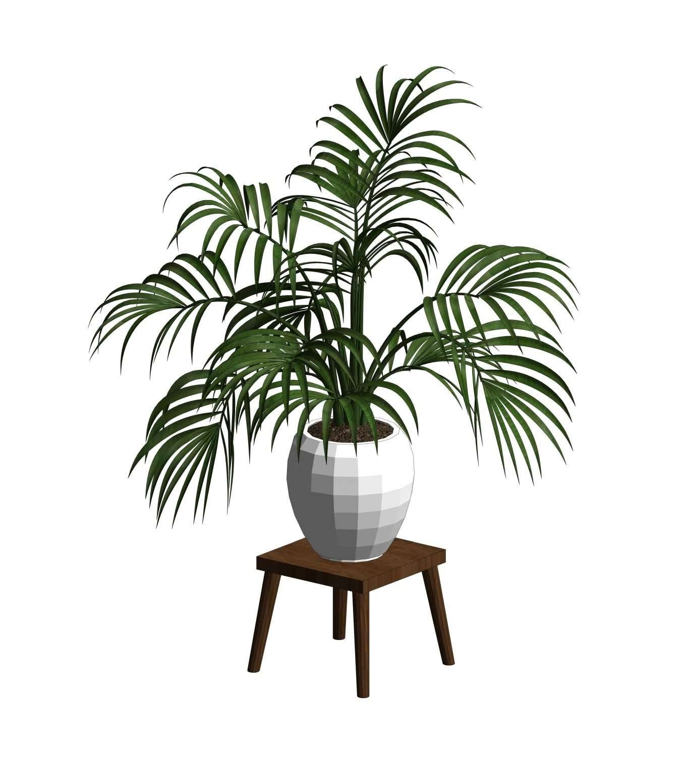 Revit Potted Plants 17 Model And Object