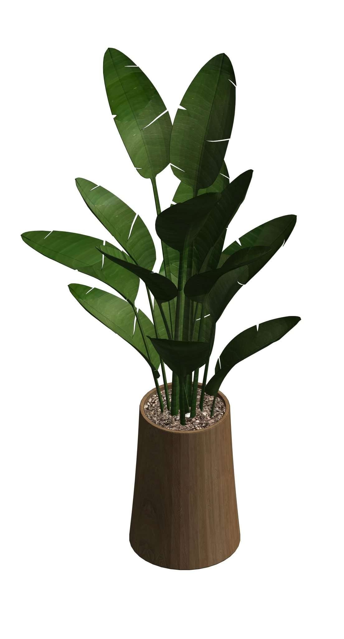 Revit Potted Plants 2 – Model And Object