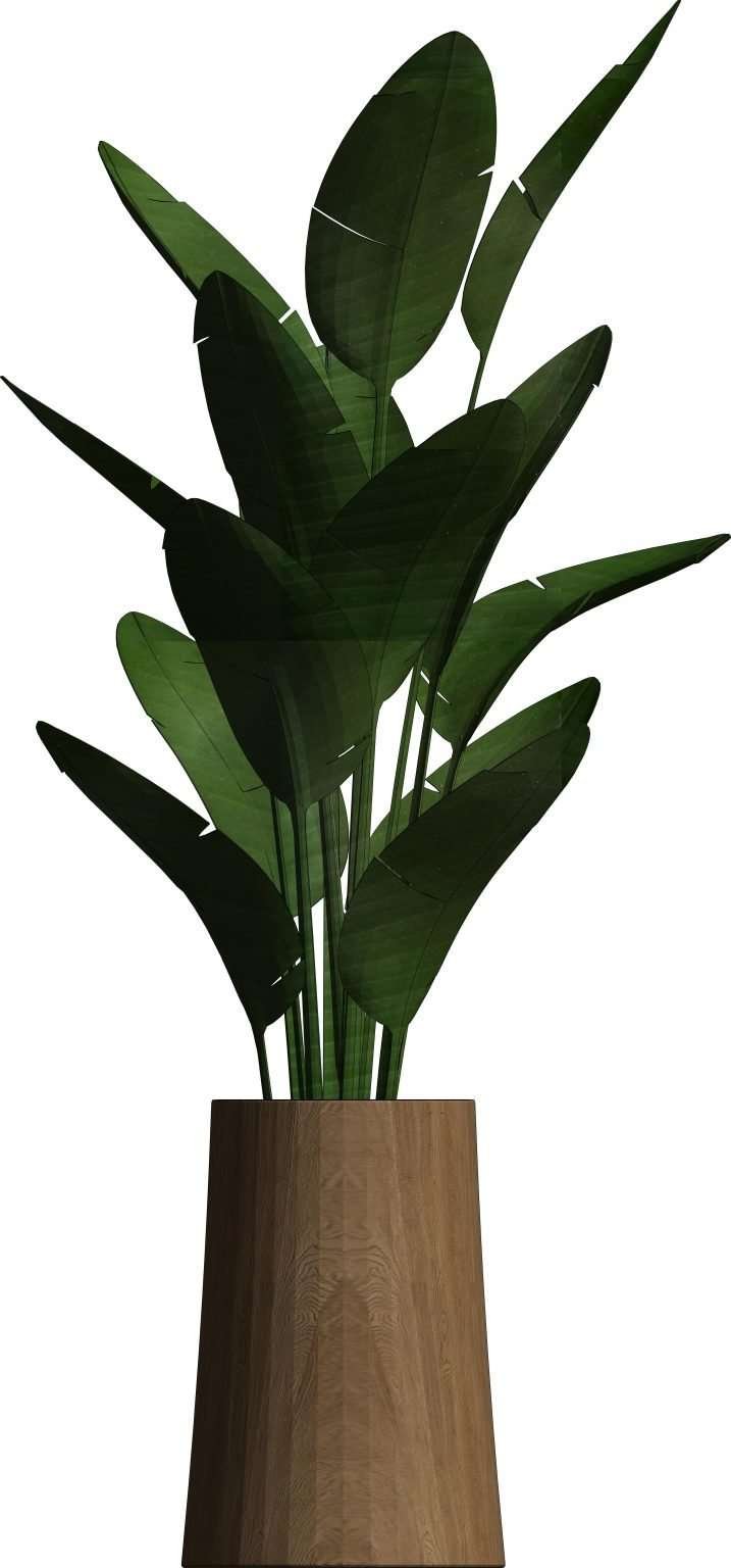 Revit Potted Plants 2 Model And Object