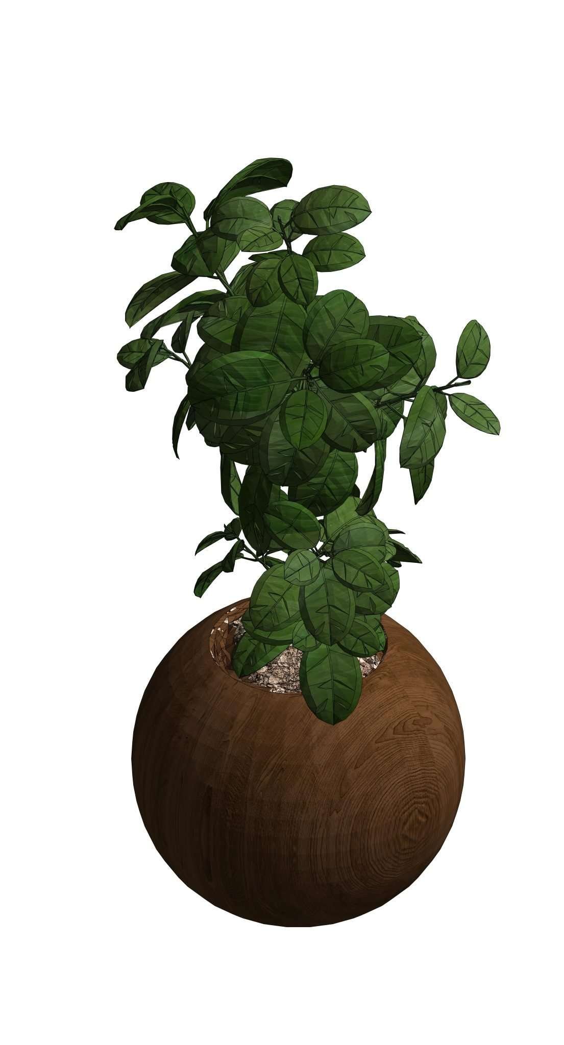 Revit Potted Plants 3 Model And Object